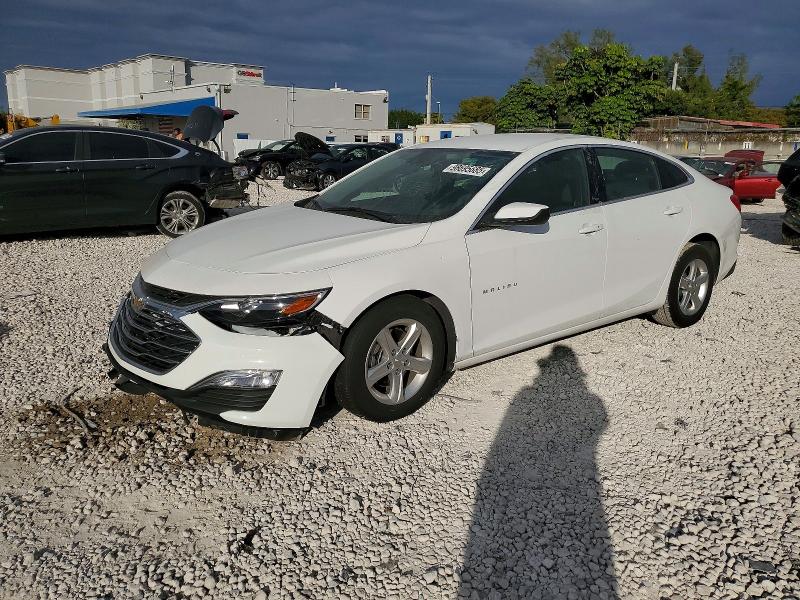 2025 CHEVROLET MALIBU LS — VIN 1G1ZB5ST7SF101017