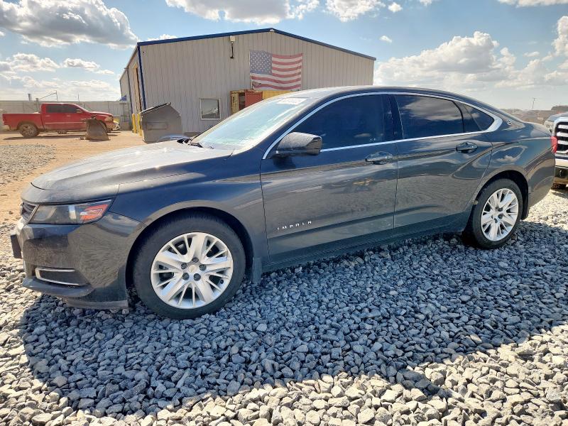 2019 CHEVROLET IMPALA LS — VIN 2G11Y5S36K9160144