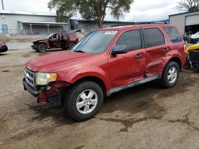 2010 FORD ESCAPE XLT — VIN 1FMCU9DG0AKC14257