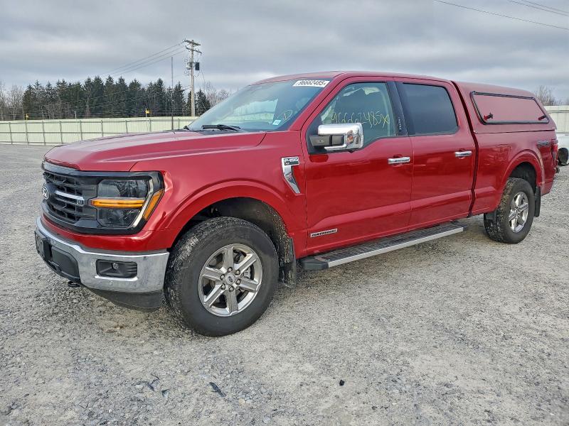 2024 FORD F150 XLT — VIN 1FTFW3LD4RFB57730