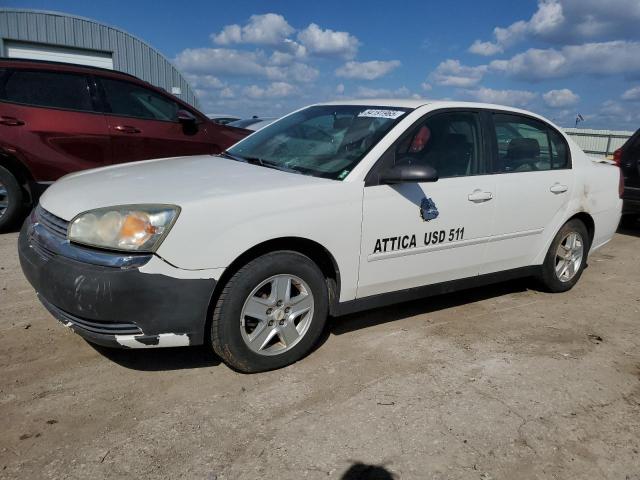 2005 CHEVROLET MALIBU LS — VIN 1G1ZT54895F228149