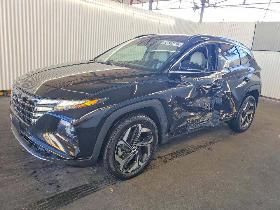 2024 HYUNDAI TUCSON LIM — VIN 5NMJECDE7RH350638