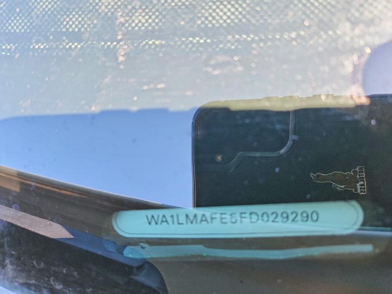WA1LMAFE5FD029290