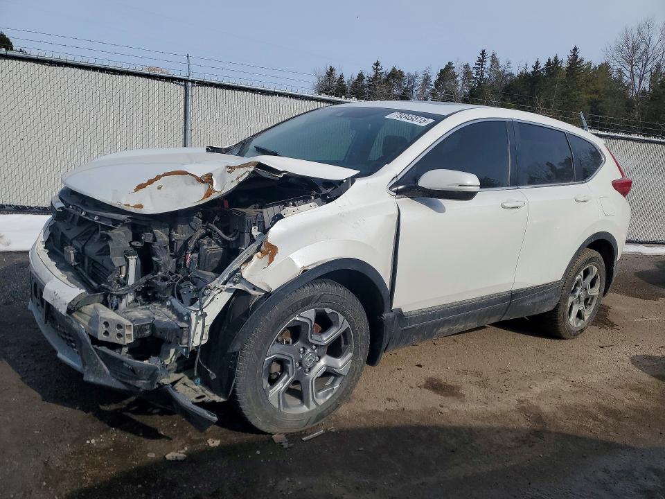 2019 HONDA CR-V — VIN 2HKRW2H87KH111467