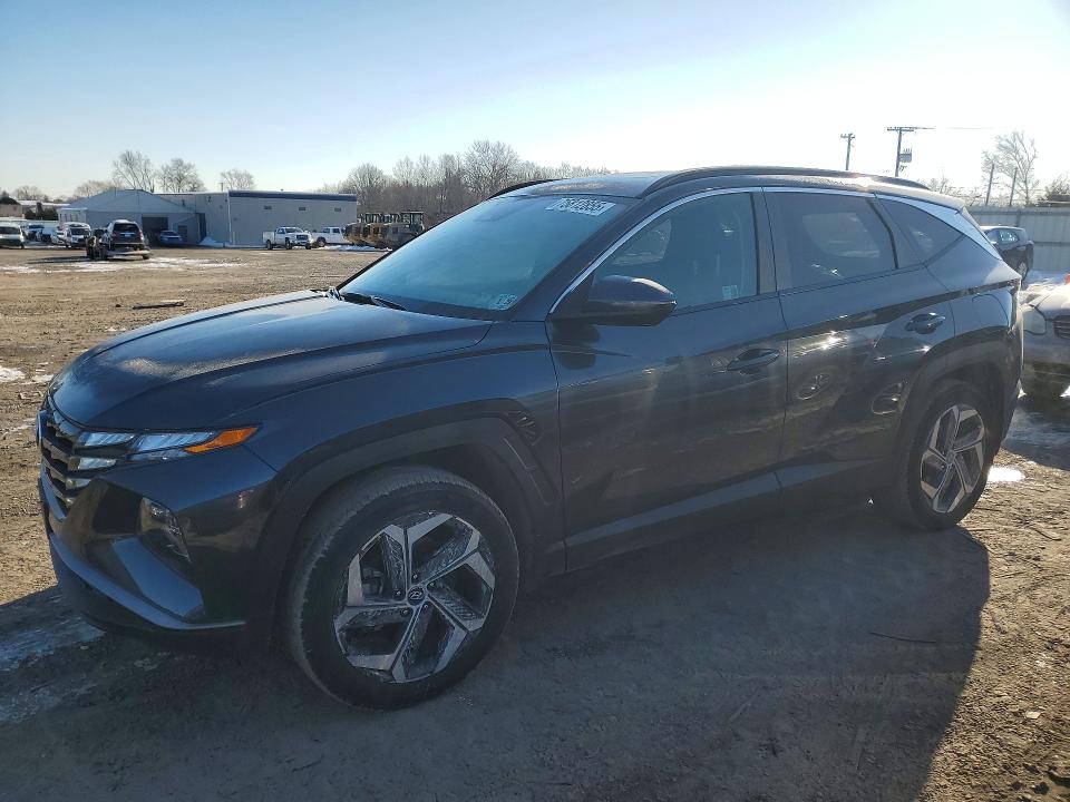 2024 HYUNDAI TUCSON — VIN 5NMJFCDE7RH364178