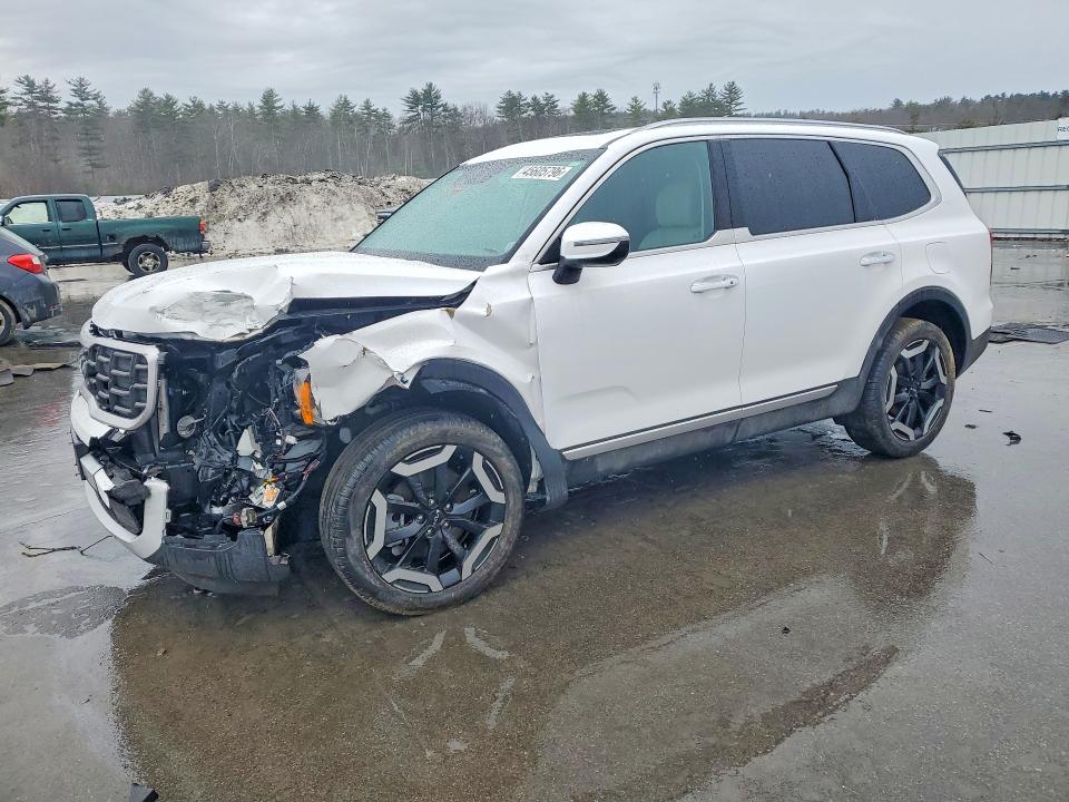 2024 KIA TELLURIDE — VIN 5XYP6DGC7RG544863