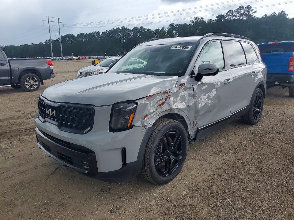 2024 KIA TELLURIDE — VIN 5XYP5DGC2RG446259