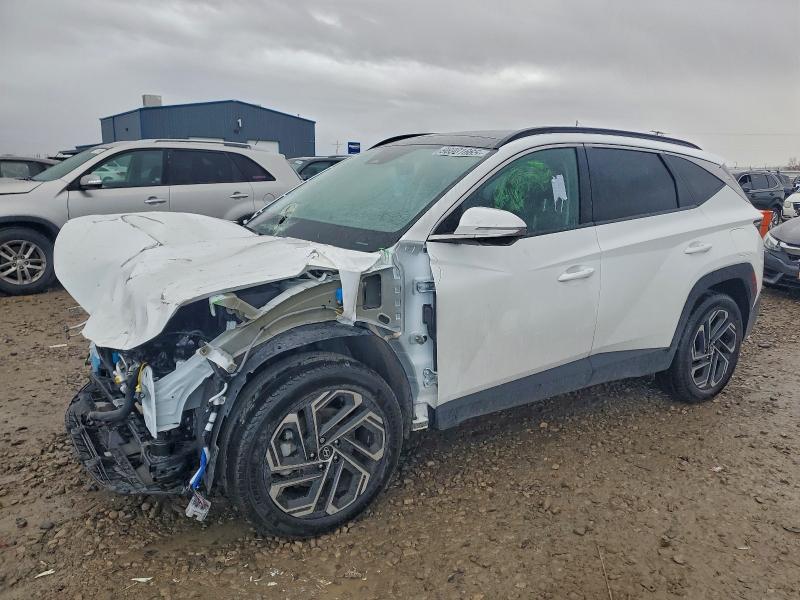 2025 HYUNDAI TUCSON LIM — VIN 5NMJECDEXSH501459