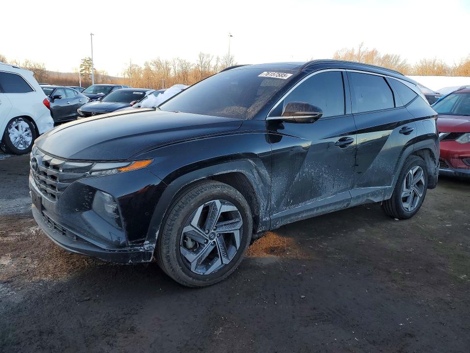 2024 HYUNDAI TUCSON LIM — VIN 5NMJECDE2RH419932