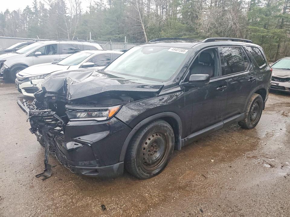 2025 HONDA PILOT — VIN 5FNYG1H95SB505866