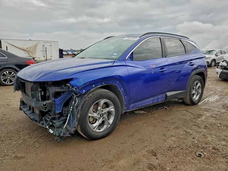 2024 HYUNDAI TUCSON SEL — VIN 5NMJB3DE9RH313289