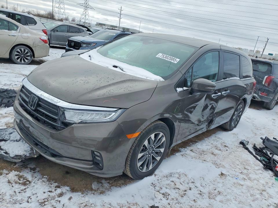 2023 HONDA ODYSSEY — VIN 5FNRL6H65PB033310