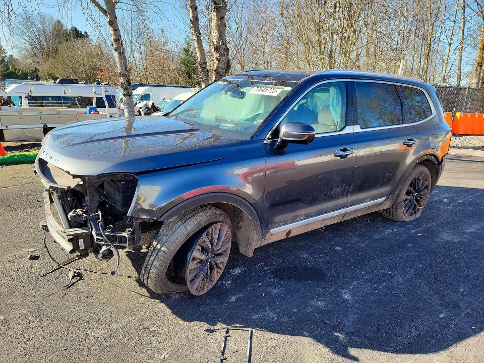 2020 KIA TELLURIDE — VIN 5XYP5DHC0LG028840