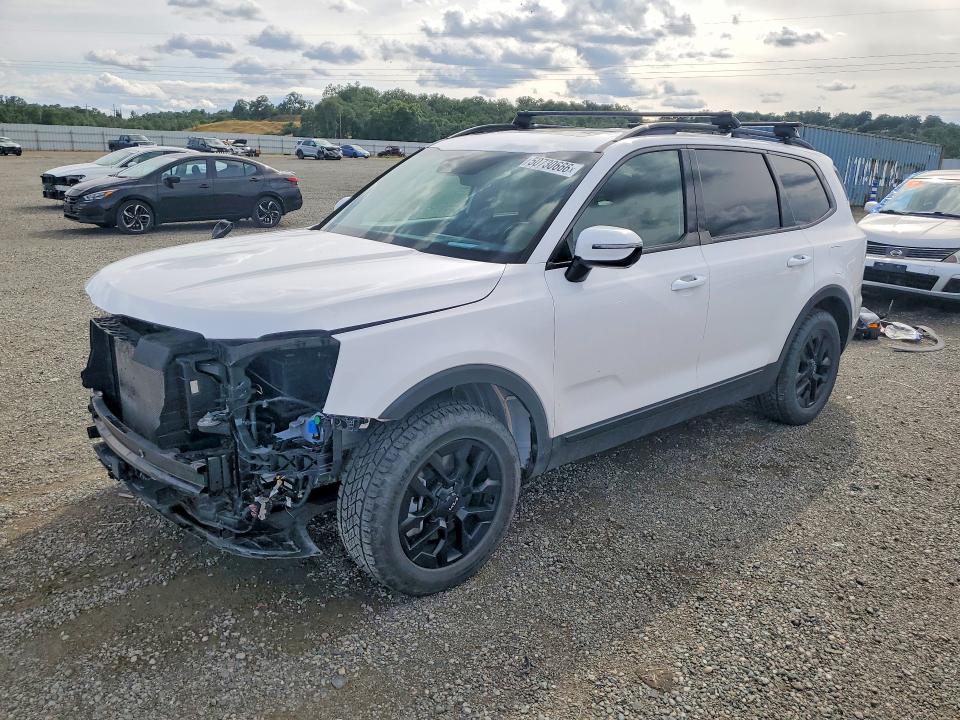 2024 KIA TELLURIDE — VIN 5XYP5DGC0RG536137