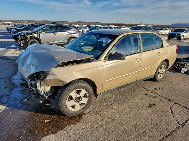 2005 CHEVROLET MALIBU LS — VIN 1G1ZT52895F202136