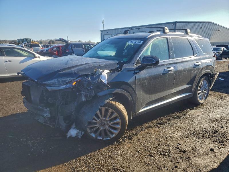 2020 HYUNDAI PALISADE — VIN KM8R5DHE2LU157246