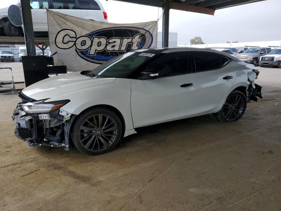 2019 NISSAN MAXIMA — VIN 1N4AA6AV7KC374756