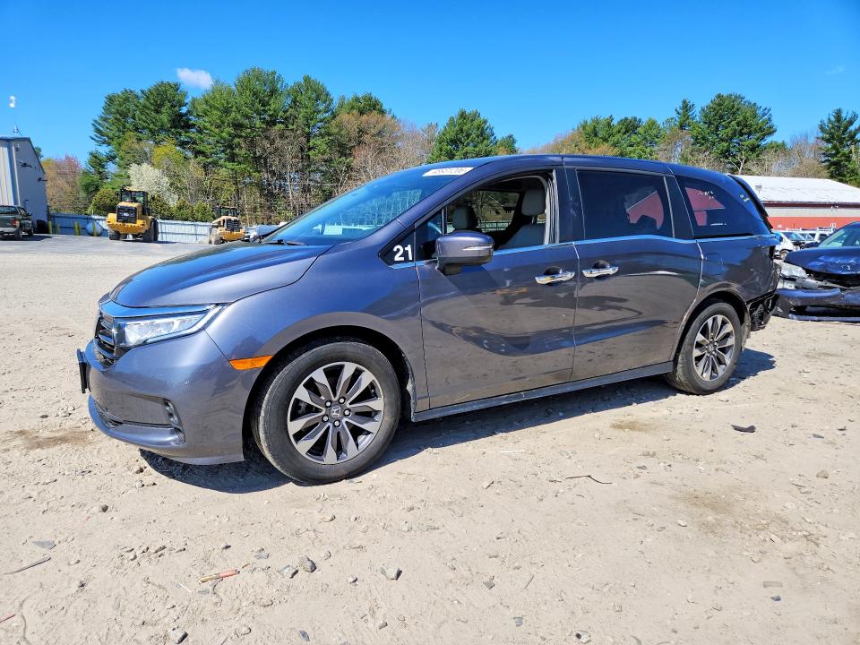 2024 HONDA ODYSSEY — VIN 5FNRL6H62RB034031