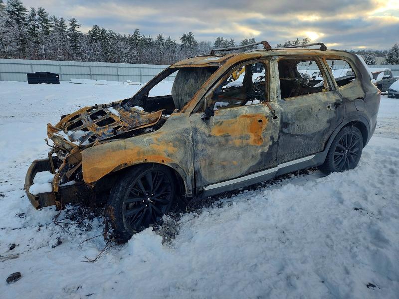 2020 KIA TELLURIDE — VIN 5XYP5DHC6LG002971