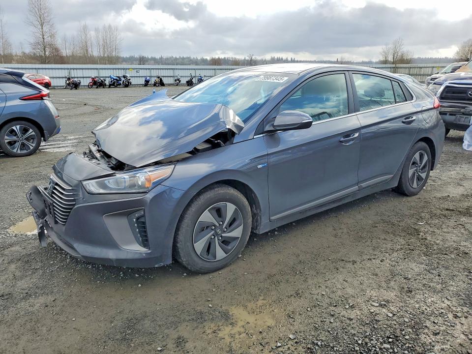2019 HYUNDAI IONIQ HYBRID — VIN KMHC75LC9KU116140