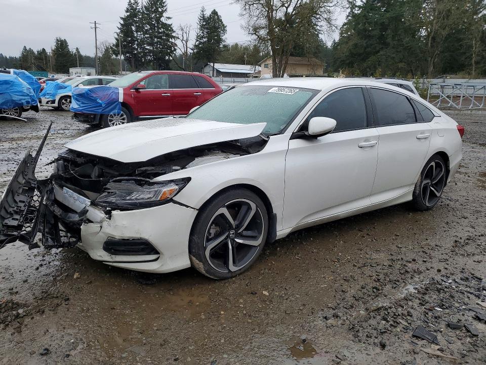 2019 HONDA ACCORD — VIN 1HGCV1F30KA049557