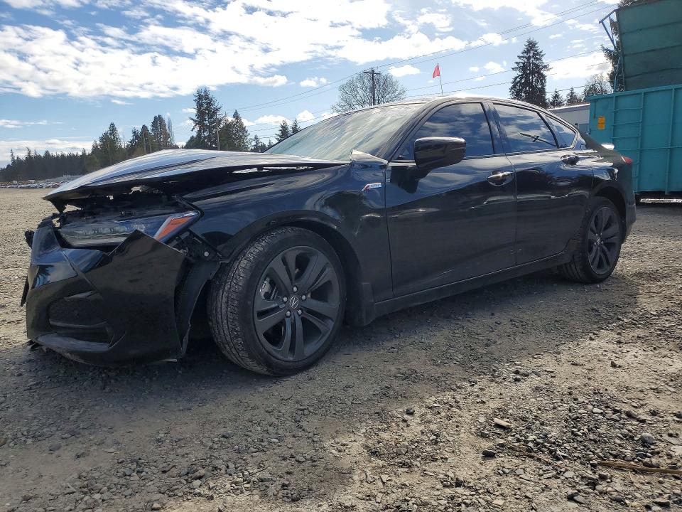 2023 ACURA TLX — VIN 19UUB6F51PA006008