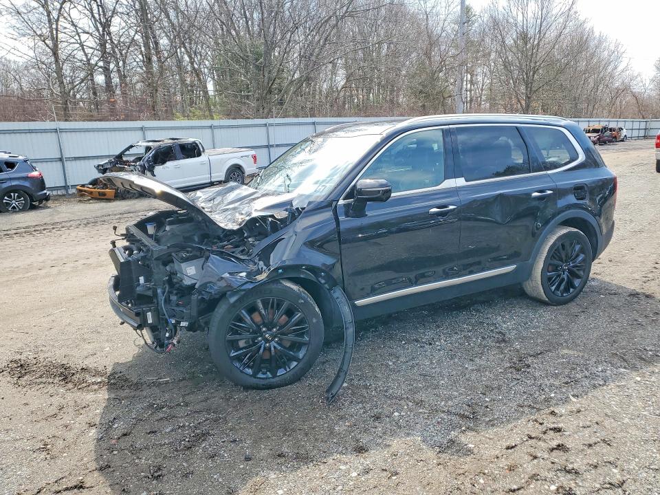 2021 KIA TELLURIDE — VIN 5XYP5DHC3MG101264