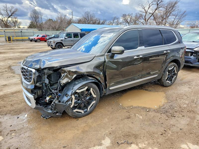 2024 KIA TELLURIDE — VIN 5XYP6DGC8RG540580