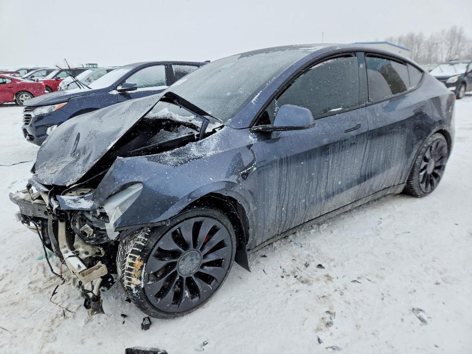 2023 TESLA MODEL Y — VIN 7SAYGDEF8PF948227