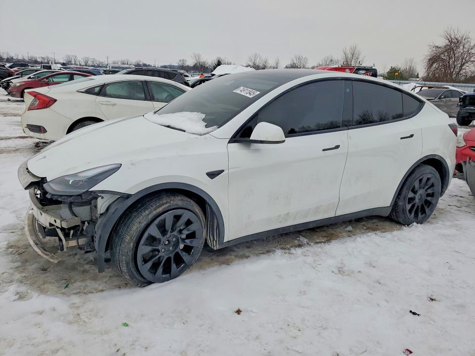 2023 TESLA MODEL Y — VIN 7SAYGDEE0PF613714