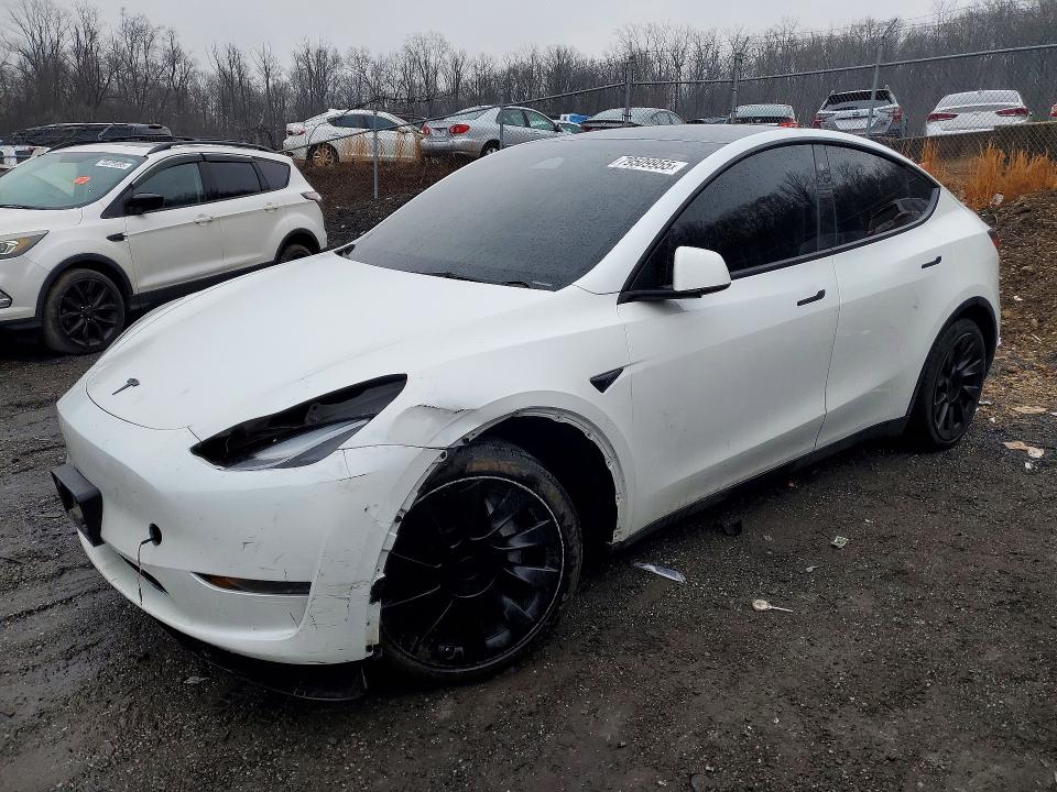 2023 TESLA MODEL Y — VIN 7SAYGAEE0PF749419
