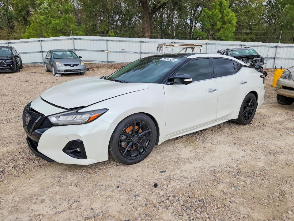 2019 NISSAN MAXIMA — VIN 1N4AA6AV1KC362893