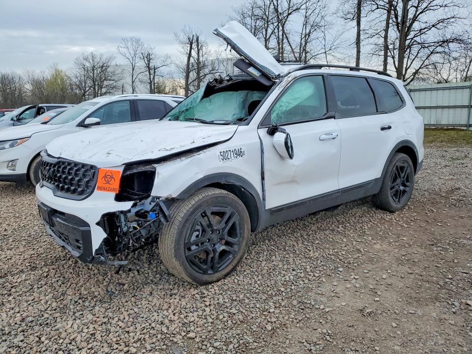 2025 KIA TELLURIDE — VIN 5XYP5DGC8SG663367