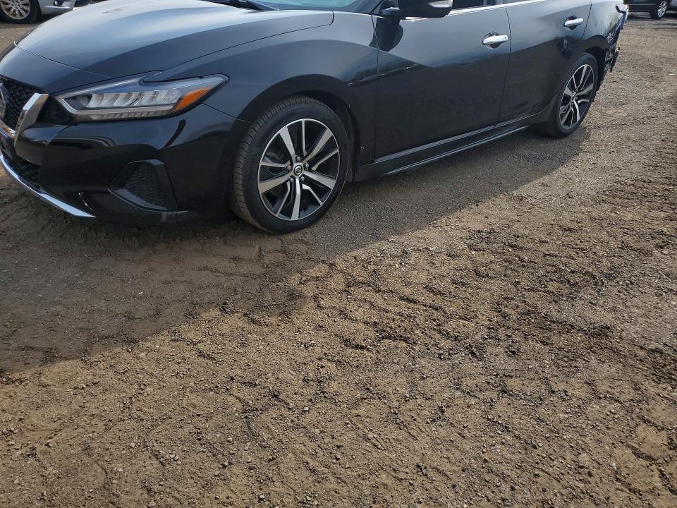 2022 NISSAN MAXIMA — VIN 1N4AA6CV2NC503553