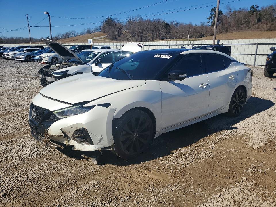 2023 NISSAN MAXIMA — VIN 1N4AA6EV1PC507397