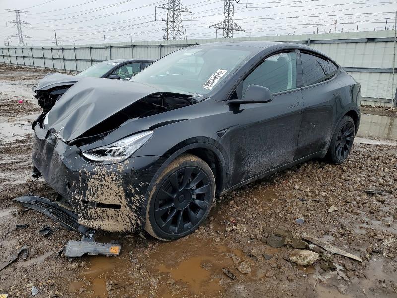 2023 TESLA MODEL Y — VIN 7SAYGDEE4PA025621