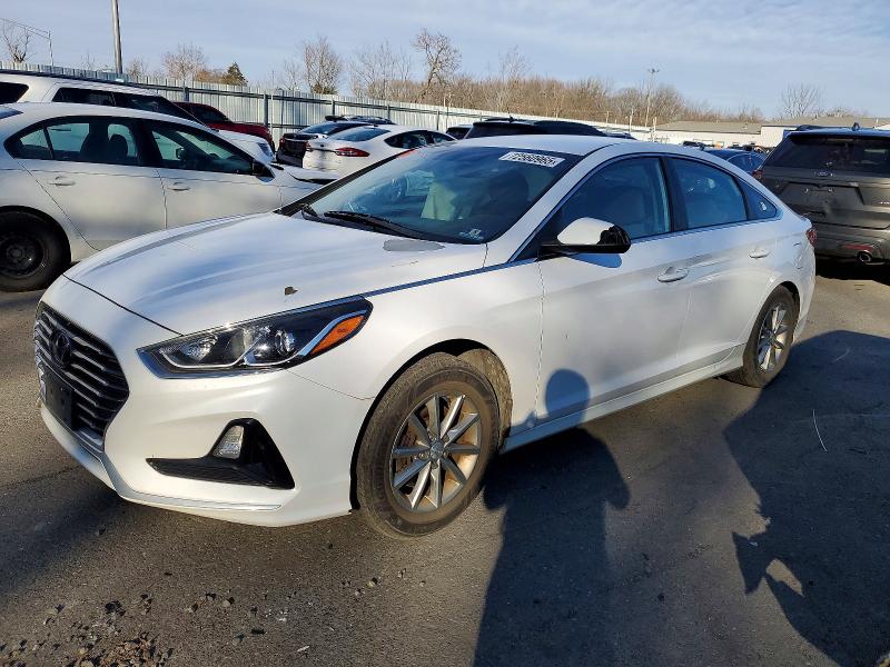 2019 HYUNDAI SONATA — VIN 5NPE24AF1KH787900