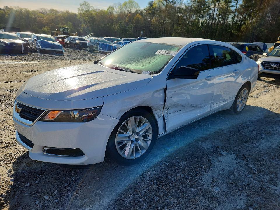 2019 CHEVROLET IMPALA — VIN 1G11Y5S37KU144568