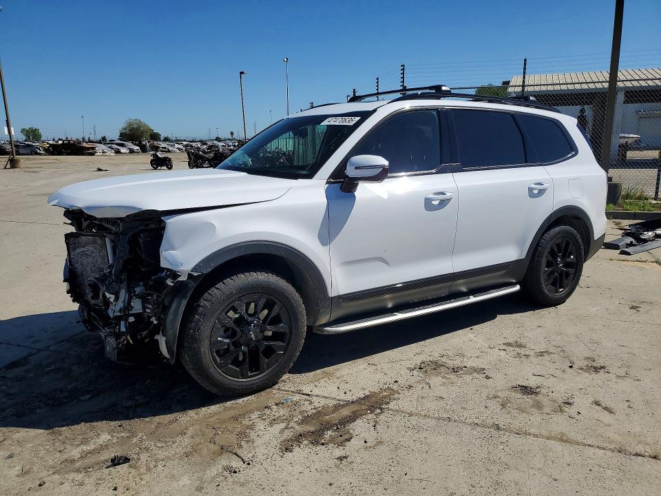 2024 KIA TELLURIDE — VIN 5XYP5DGC4RG459353