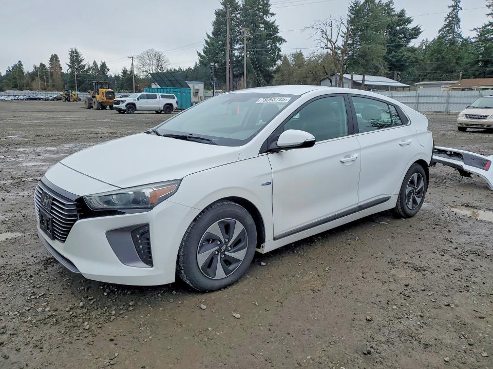 2019 HYUNDAI IONIQ HYBRID — VIN KMHC75LC3KU135976