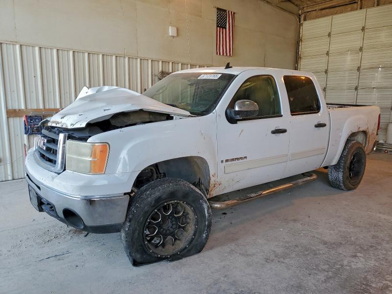 2009 GMC SIERRA C15 — VIN 3GTEC23JX9G107188