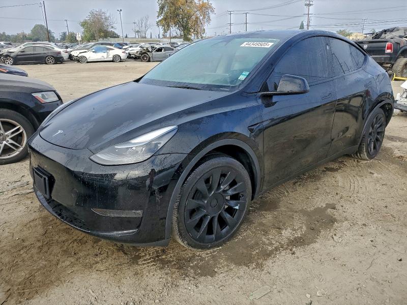 2023 TESLA MODEL Y — VIN 7SAYGAEE5PF836958