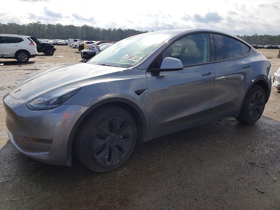 2024 TESLA MODEL Y — VIN 7SAYGDED6RF201789