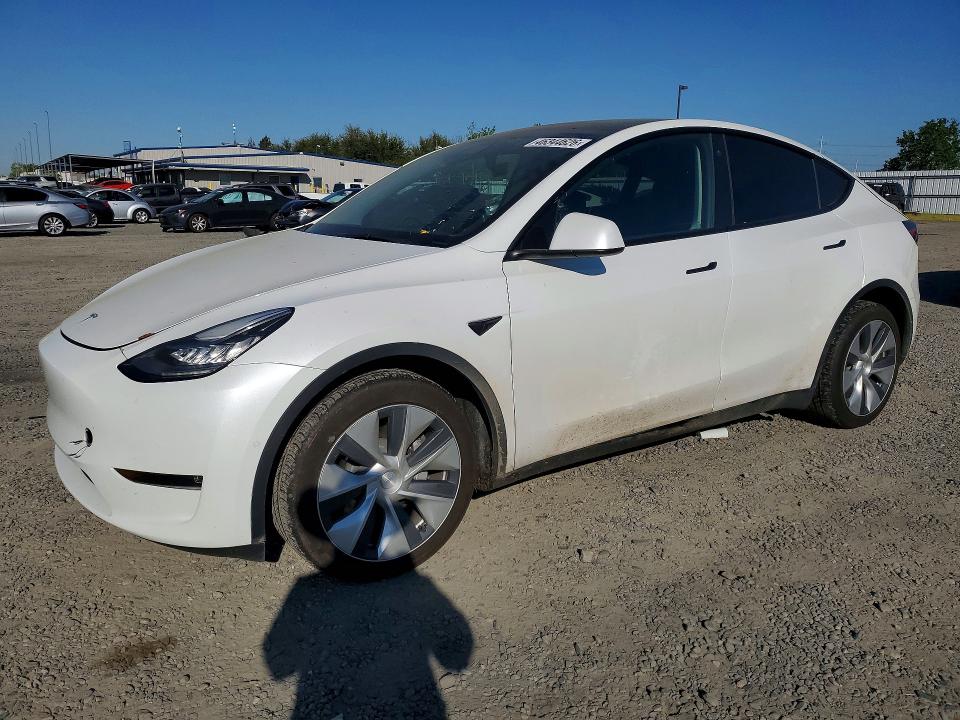 2021 TESLA MODEL Y — VIN 5YJYGDEE9MF231304
