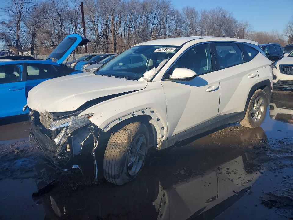 2024 HYUNDAI TUCSON — VIN 5NMJA3DE3RH372552