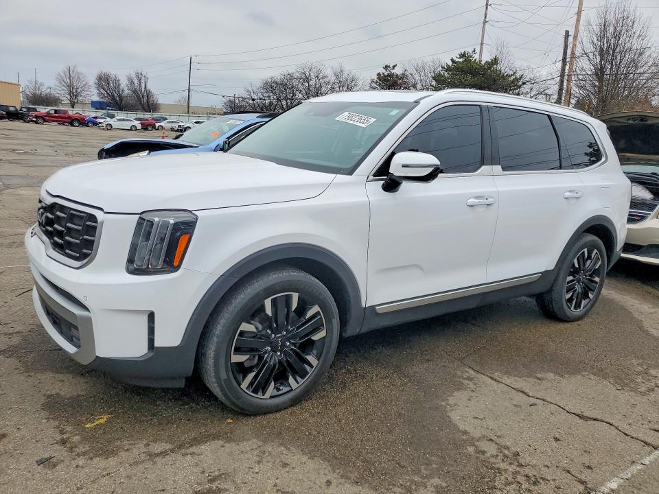 2023 KIA TELLURIDE — VIN 5XYP5DGC1PG365539