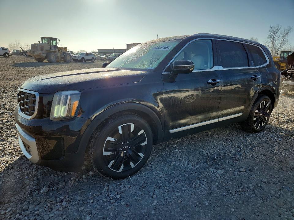 2023 KIA TELLURIDE — VIN 5XYP5DGC3PG374517