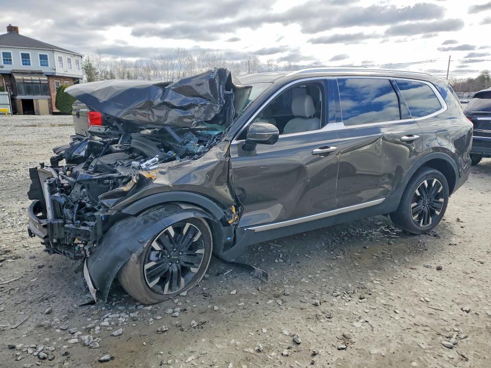 2025 KIA TELLURIDE — VIN 5XYP5DGC7SG578097