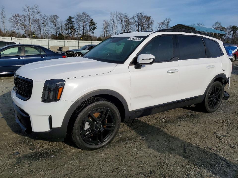 2025 KIA TELLURIDE — VIN 5XYP3DGCXSG613205