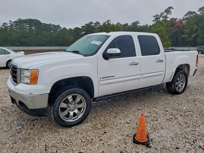 2009 GMC SIERRA C15 — VIN 3GTEC23J59G261274